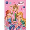 Winx Club A4 - omalovánka