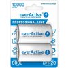 everActive D 10000 mAh 2 ks EVHRL20-10000