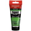 Amsterdam Expert akrylová farba 618 permanent green light 75 ml