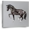 Sablio Obraz Kôň - 50x50 cm