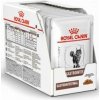 Royal Canin VD Feline vrecká Gastro Intestinal 12 x 85 g