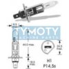 Žiarovka Elta 12V H1 P14,5s
