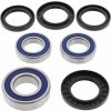 Ložiská + tesnenie kolesá sada All Balls Racing WB25-1392