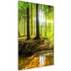 Vertikálny foto obraz akryl do obývačky Slnko v lese 50x100 cm