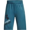 Under Armour Prototype 2.0 shorts