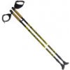 NW 603 NORDIC WALKING PALICE NILS EXTREME