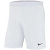 Pánske šortky Laser IV Woven M AJ1245-100 - Nike XL