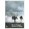 Storm of Steel - Ernst Junger, Penguin Books Ltd