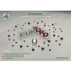 Euroword - italština maxi - CD - autor neuvedený