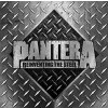 Pantera - Reinventing The Steel (Limited Edition) (Silver Coloured) (2 LP)