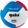 Volejbalová lopta GALA Pro-line BV5595S FIVB zápasová, veľkosť 5