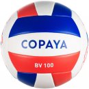 Copaya BVBS100