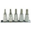 Sada hlavíc Torx T25-50 3/8