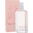 L´Occitane Cherry Blossom toaletná voda dámska 75 ml