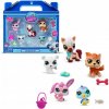 Sada figúrok Littlest Pet Shop Collector Set Winter Besties 5 ks