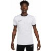 Tričko Nike Academy 25 SS Top M FZ9754 100