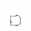 Tesnenie olejovej vane Briggs & Stratton (50-1101AG) 50-1101AG