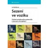 Sezení ve vozíku (Lia Vašíčková)