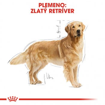 Royal Canin Golden Retriever 12 kg