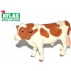 Atlas D Kráva 14 cm (W101869)