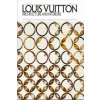 Louis Vuitton: Architecture and Interiors - Frederic Edelmann , Ian Luna