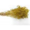 Stabilizované kvety Gypsophila mini - lime