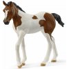 Schleich Žriebä plemena Paint Horse 14899