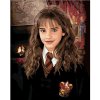 Zuty – Maľovanie Podľa Čísel – Hermiona Portrét (Harry Potter), 40 × 50 cm, Plátno 8596530239048