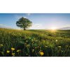 Komar Vliesová fototapeta Frühling auf dem Land 450 x 280 cm