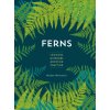 Ferns (Mobee Weinstein)(Brožovaná)