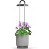 Click and Grow HydroVase by Ermonix, inteligentný kvetináč, sivý CGHVGEU