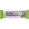 Bombus Raw Energy BIO ovocná tyčinka 50 g