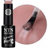 NTN Premium Gummy Base 2in1 No Excess 5 g