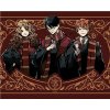 Zuty – Maľovanie podľa čísel – Harry Potter, Ron a Hermiona v chrabromilskom habite, 40 × 50 cm, plátno 8596530239765