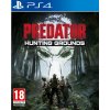 Predator Hunting Grounds