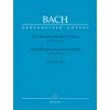 3 SONATES ET 3 PARTITAS / THREE SONATAS AND THREE PARTITAS BWV 1001-1006 - VIOLON SEUL