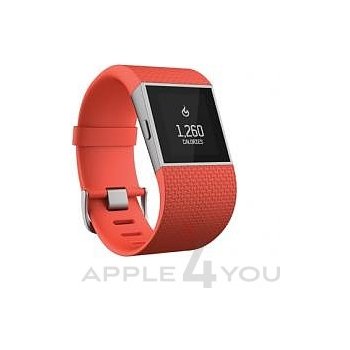 Fitbit Surge Large