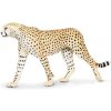 Safari® Gepard