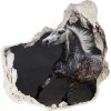 Fototapeta diera na stenu 3D Gray arabský kôň 75x75 cm