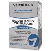 Vemoherb Tribulus Terrestris MAXX 60 kapsúl