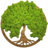 Machový obraz Strom života Simple 30cm Orech