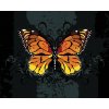 zuty Zuty - Maľovanie Podľa Čísel - Oranžový Motýľ Na Čiernom Pozadí, 40X50 Cm, Plátno+Rám (8596530138495)