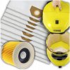 10 x VRECKÁ FILTR DO VYSÁVAČA KARCHER WD3 SE4001 WD2 PLUS KWD V-17 V-15 V12