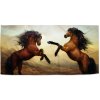 Sablio Uterák Vzpínající se koně - 30x50 cm