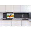 DIMEX | Dibond doska za kuchynskú linku | DBW-06040-286 Farebný atrament vo vode | 60 x 40 cm + Dibond obkladová doska Dimex do kuchyne Farebný atrament vo vode v rozmere 60 x 40 cm + lepidlo zadarmo