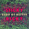Band Of Heysek - Sticky Ricky [CD]