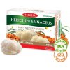 TEREZIA HERICIUM ERINACEUS s rakytníkovým olejom 60 kapsúl