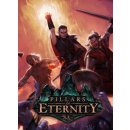 Pillars of Eternity (Hero Edition)