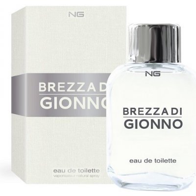 NG perfumes Brezza di Gionno toaletná voda pánska 100 ml