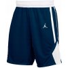 Pánske tréningové šortky Nike Air Jordan Dri-FIT AR4321-420 L